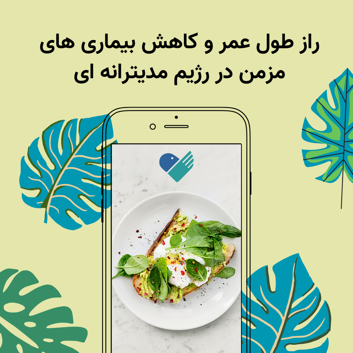 راز طول عمر و کاهش بیماری‌ های مزمن در رژیم مدیترانه‌ ای